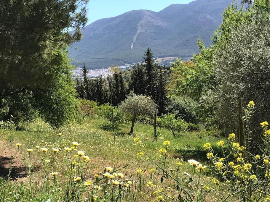 Penthouse Apartment, Cortijo Fruitful Hills Малага Екстериор снимка