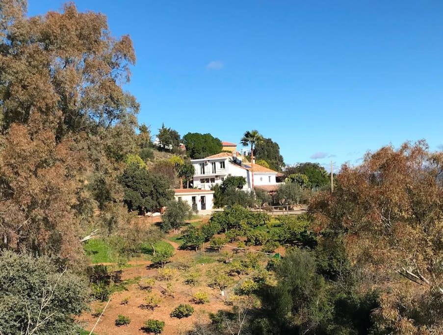 Penthouse Apartment, Cortijo Fruitful Hills Малага Екстериор снимка